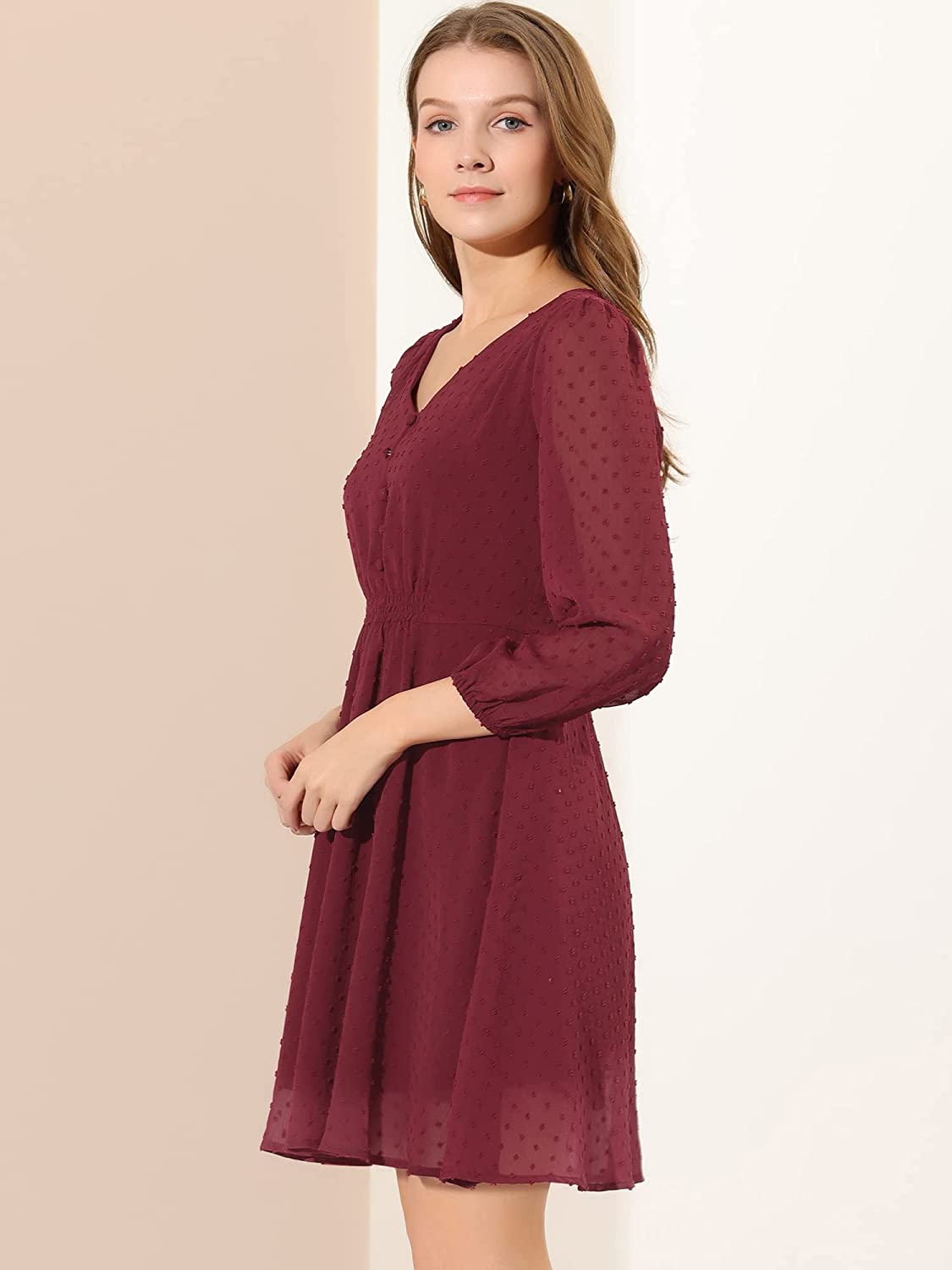 Maroon Fit & Flare V-Neck Georgette Dress